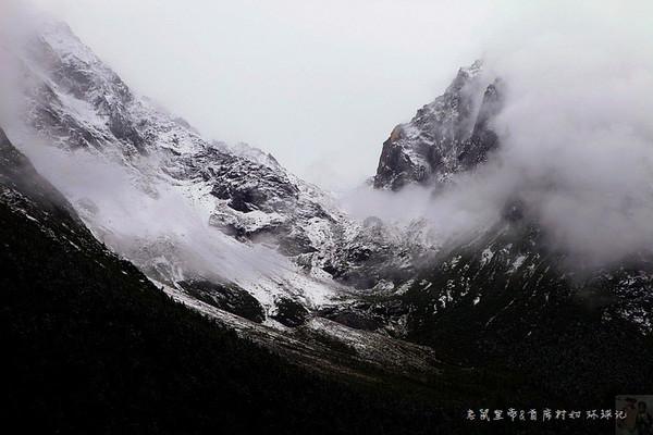 2023年全国海关缉私部门立案侦办走私等违法犯罪案件4959起